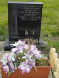 image of grave number 119020